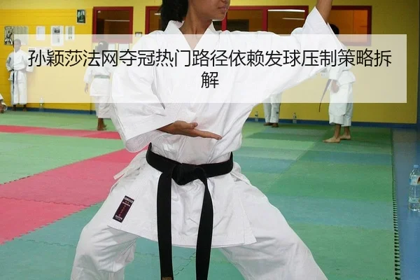 sun-ying-sha-fa-wang-duo-guan-re-men-lu-jing-yi-lai-fa-qiu-ya-zhi-ce-lve-chai-jie-2-738.jpg